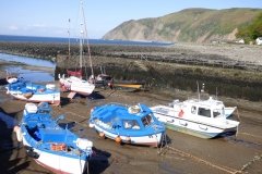 lynharbour